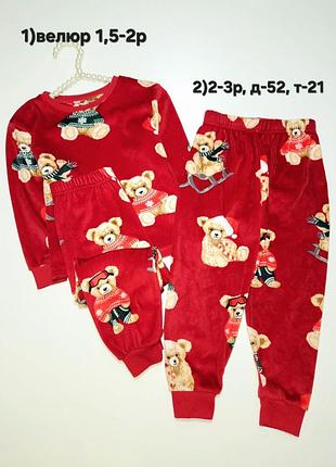 Велюровая пижама норесная 2 года