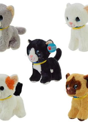 М'яка іграшка "кошенята" 20см,5видів clr150