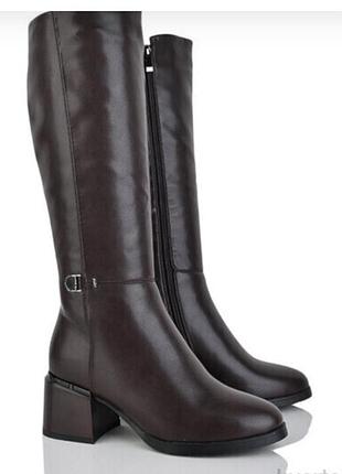 Чоботи жіночі