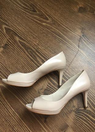 Туфлі enzo angiolini