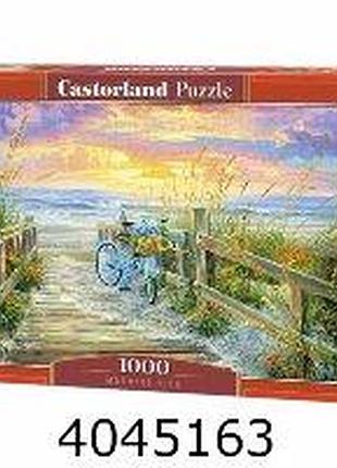 Пазли 1000 ел. castorland "morning ride" (14)