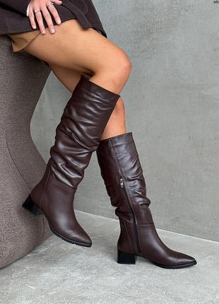 Зимние сапоги на удобном каблуке