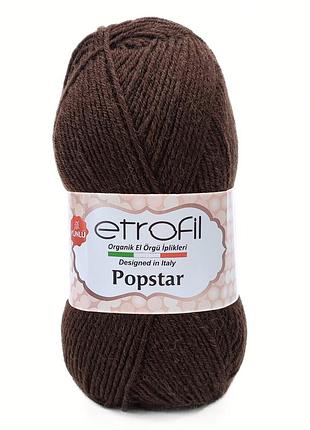 Пряжа popstar/попстар, коричневий 77013, etrofil