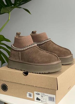 Женские угги на платформе ugg tasman platform sock dusted cocoa