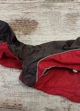 Попонка дождевик для собак (по спинке 25 см)