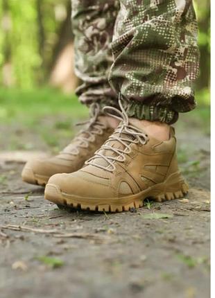 Кроссовки мангуст кайот сетка 41