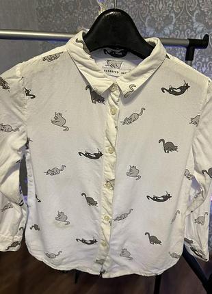 Сорочка з котиками