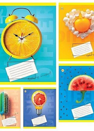 Зошит 48 аркушів клітинка тв "незвичайна" та51509