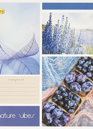 Зошит 60 аркушів клітинка /тв/ мікс 6 те31601