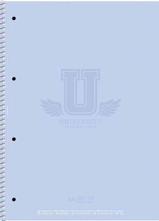 Коледж-блок а4 80 аркушів клітинка "student" матова ламінація a4-080-6524k школярик