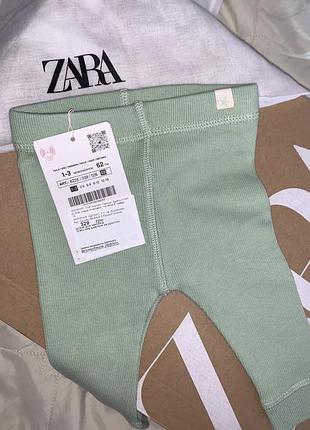 Zara легінси в рубчик