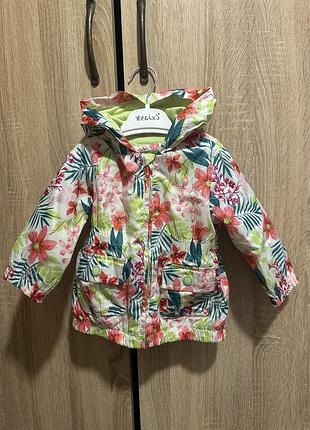 Вітровка 🌿