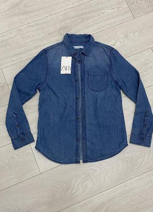 Сорочка {коттон} жіноче zara❗️оригінал❗️