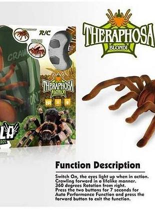 Паук на радиоуправлении (9986 m)