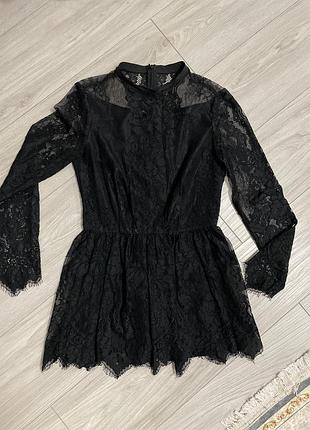 Коіта нарядна