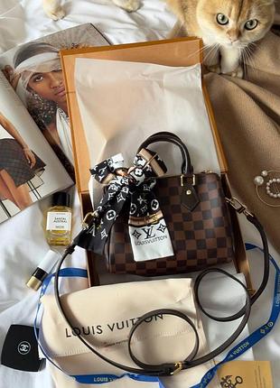 Louis vuitton speedy nano brown/chess коробка магнит