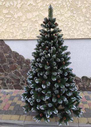 Королева с шишками 3 м