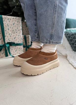 Ugg tasman hybrid chestnut beige