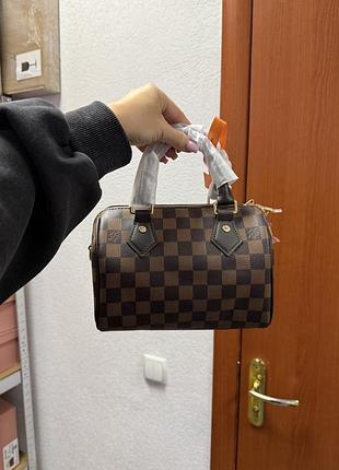 Louis vuitton speedy