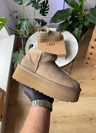 Уггі жіночі короткі