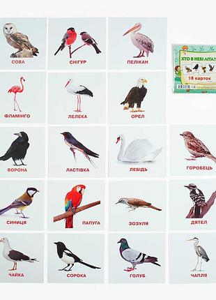Игра-обучение: мини-карточки «кто в небе летает» (18 шт) 9789669753700 jumbi