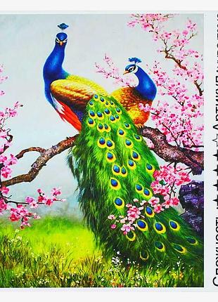 Картина по номерам и алмазная мозаика 2в1 yhdgj 70042 (30) "tk group" – "павлины на дереве", 50х40см, в