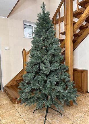 Кедр 1.5 м
