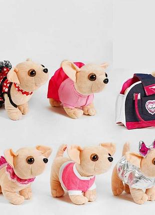 Интерактивная собачка чихуахуа в сумке с 50084 (100), 5 вариантов, лает, в пакете, микс видов