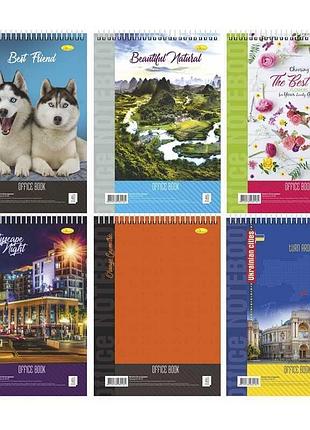 Графический блокнот в-л4-40 (16) а4, 40 листов, лакированный, с пружиной сверху «апельсин», микс дизайнов