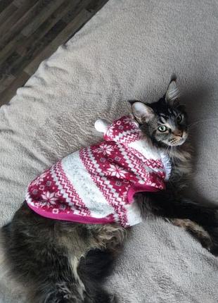 Одяг собак, котів (светр, комбінезон)