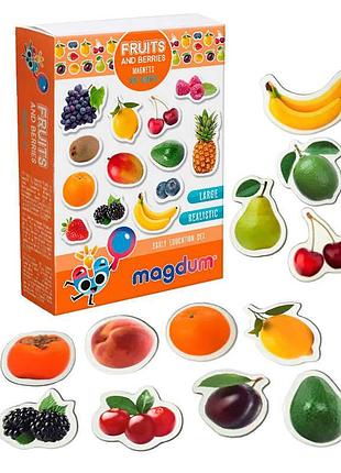 Набір дитячих магнітів ml4031-11 en «фрукти та ягоди» 24 шт «magdum» в коробці