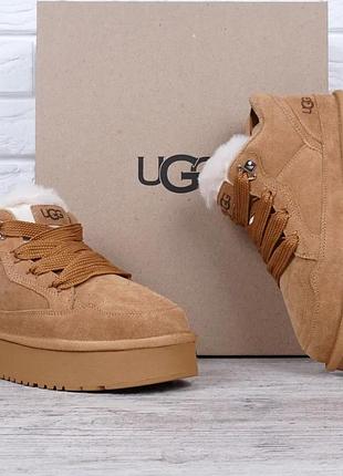 Угги женские ugg lowmel sneaker chestnut коричневые