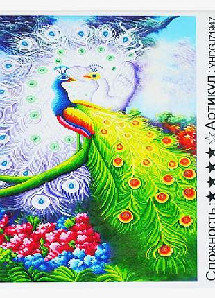 Набор для творчества 2в1: картина по номерам и алмазная мозаика yhdgj 71947 (30) «tk group», 50х40 см,