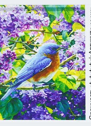 Набір ycgj 36891 (30) "tk group" для малювання з цифрами, 40х50 см, "пташка", у коробці