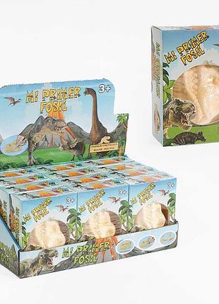 Набор для научных экспериментов akg 005 с кисточкой и долотом