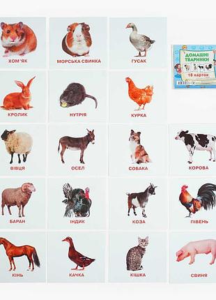 Набор ярких мини-карточек 'животный мир' (18 шт) 9789669753687 'jumbi'