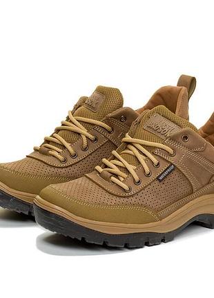 Тактические треккинговые летние кроссовки перфорация койот 44