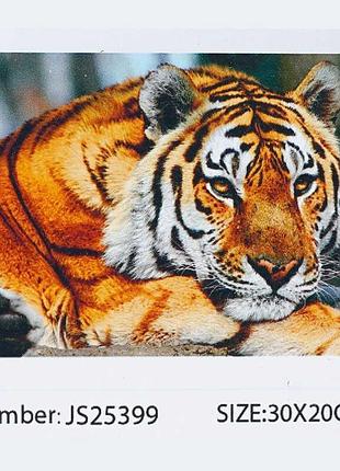 Js 25399 (50) tk group, 20х30 см, тигр з блискучими кристалами для дітей