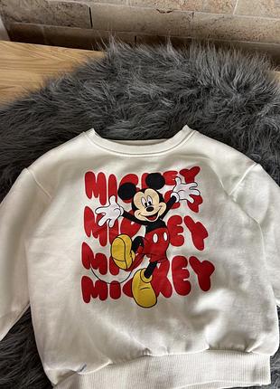 Регланчик міккі 2