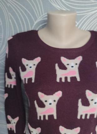 🐕 🐶 🦮 чіхуа собака м'який класний модний джемпер 🐕 🐶 🦮