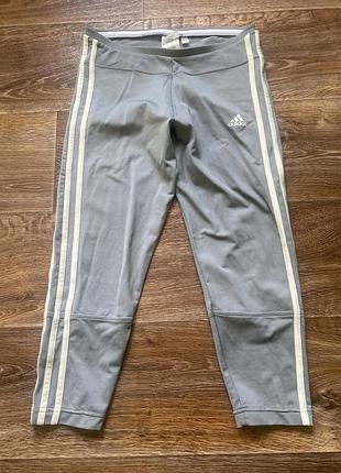 Лосіни лосини