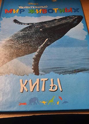 Удивительный мир животных,киты
