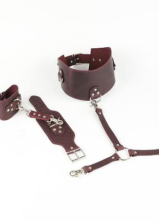 Шкіряний набір бдсм бордо kit-2