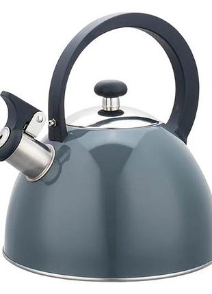 Чайник нержавеющий maestro 2.5л серый (mr-1302-grey)