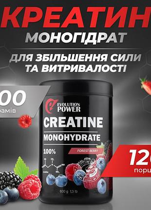 Креатин evolution power.b+
