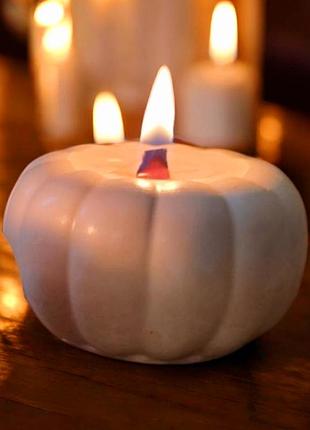 «осіння теплота» - свічка в гарбузовому кашпо, з ароматом ваніль