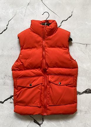 Жилет коралловый starfish s xl