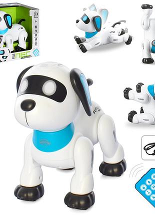 Песик на радиоуправлении one size
