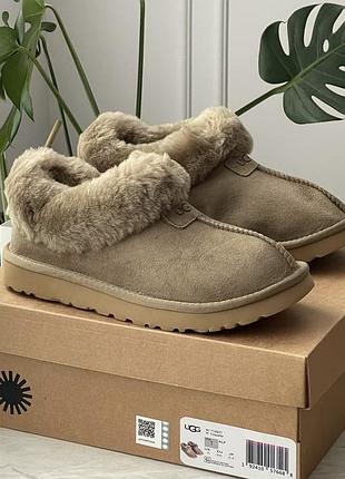 Ugg coquette khaki