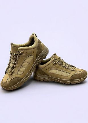 Демисезонные женские тактические кроссовки. 36-49р койот. износоустойчивая подошва! dsdf-2136